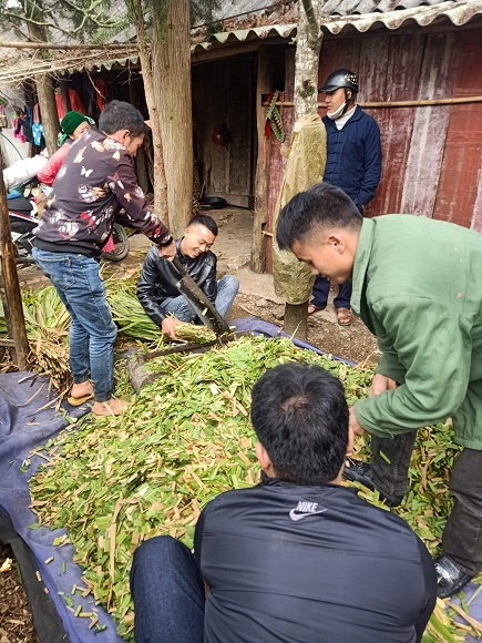 Ur chua thức ăn gia súc tại thôn Cán Chu Phìn